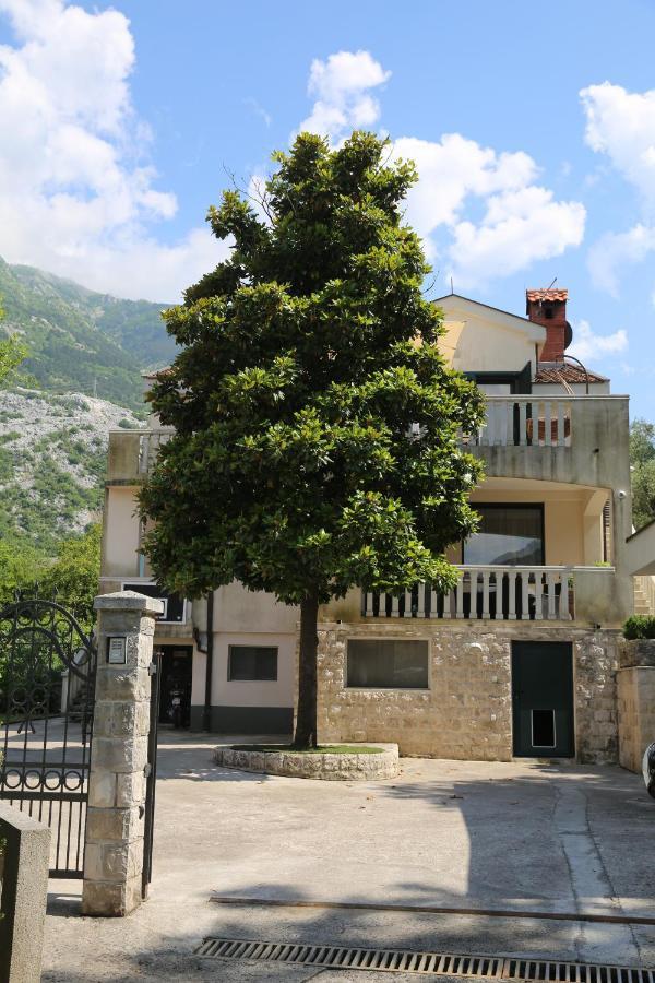 Apartmani Dijana 2 Kotor Eksteriør bilde
