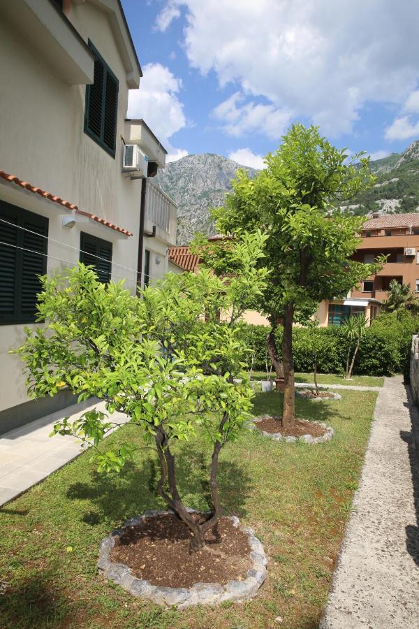 Apartmani Dijana 2 Kotor Eksteriør bilde